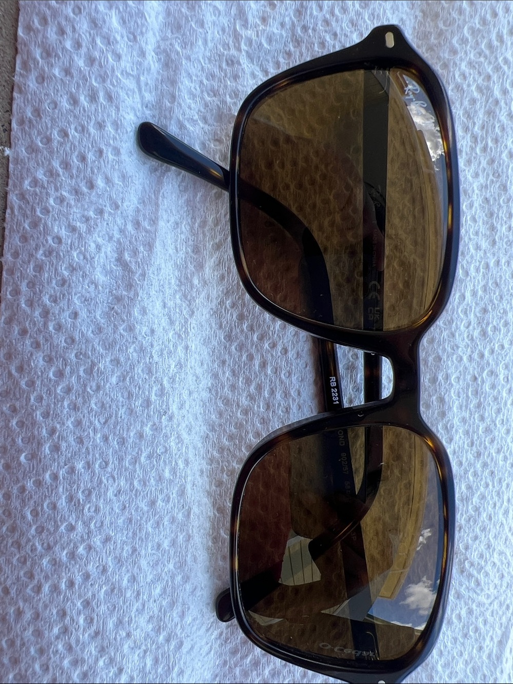 Ray-Ban Brown Tortoiseshell Men's Sunglasses with Brown Lenses